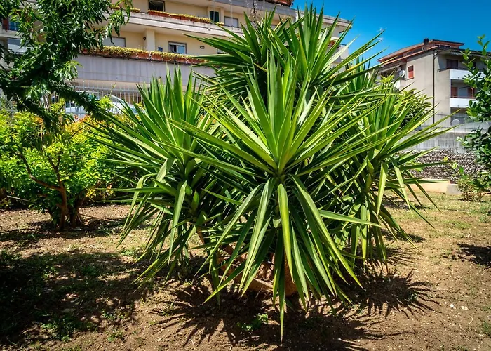 Antonella's House ואסטו