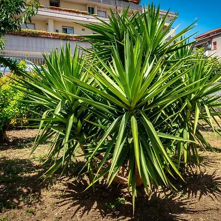 Antonella's House Vasto